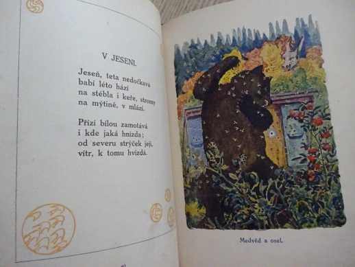 BAREVNÉ KULIČKY, VIOLA Z PRÁCHEŇSKA, **an