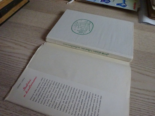 BUBÁCI A HASTRMANI, JOSEF LADA, **an
