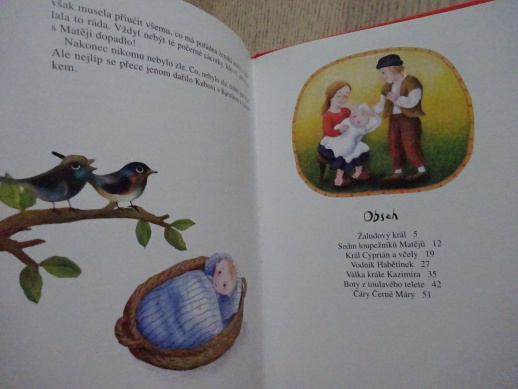 O KUBOVI, BARUŠCE A SEDMI LOUPEŽNÍCÍCH, MILADA MOTLOVÁ, **an