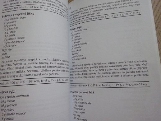 ONEMOCNĚNÍ JÍCNU, VŘEDOVÁ CHOROBA ŽALUDKU A DVANÁCTNÍKU, PAVEL KOHOUT, JAROSLAVA PAVLÍČKOVÁ, **an