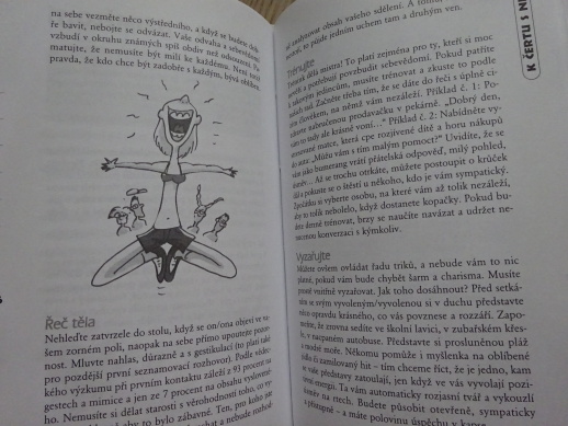 FLIRTUJ, AŽ BUDOU JISKRY LÍTAT, KARIN KAMPWERTHOVÁ, **an