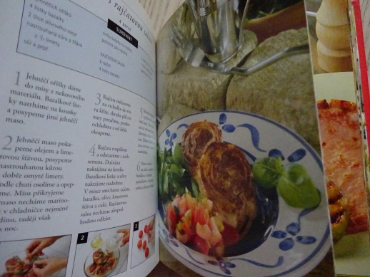 GRILOVÁNÍ A SALÁTY NA LÉTO, ŠPALÍČEK RECEPTŮ, **an