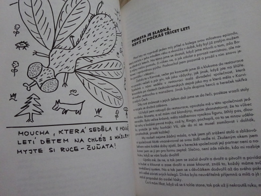 ČEŠI A JEJICH SAMIČKY 1., FRANTIŠEK RINGO ČECH, **an