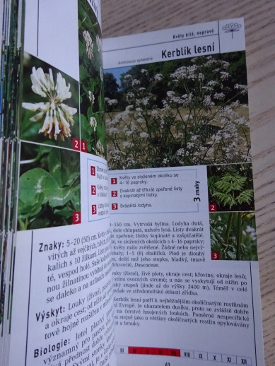 KVĚTINY, DANKWART SEIDEL, **an