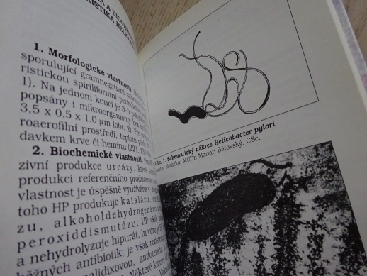 NEMOCI ŽALUDKU, DVANÁCTNÍKU A HELICOBACTER PYLORI, JURGOŠ, BUREŠ, **an