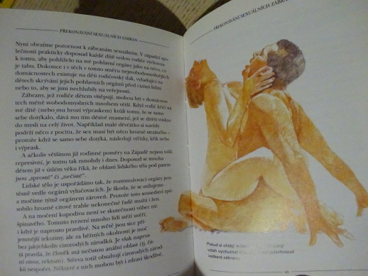 KAPESNÍ PRŮVODCE SEX, **an