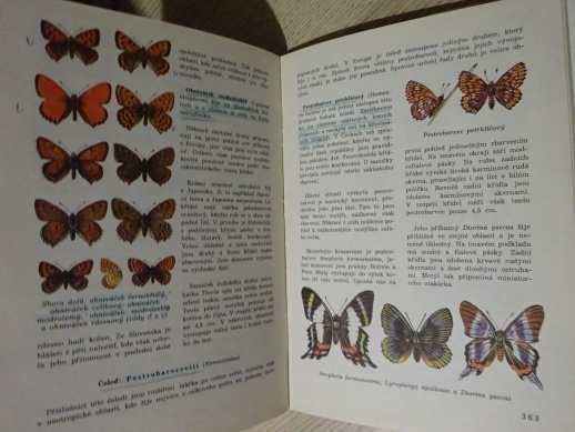 SVĚTEM ZVÍŘAT, BEZOBRATLÍ, HANZÁK, MOUCHA, ZAHRADNÍK, **an