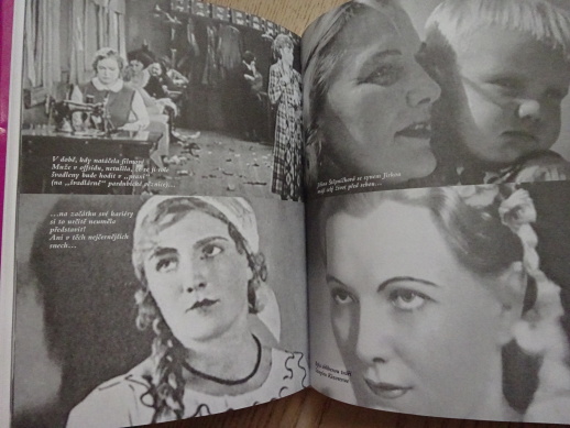 JIŘINA ŠTĚPNIČKOVÁ, HEREČKA V PASTI, ŠÁRKA HORÁKOVÁ, **an