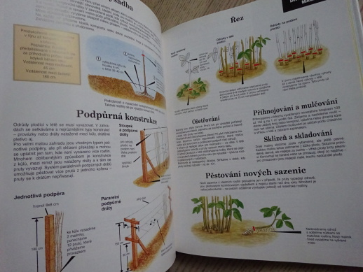 OVOCE V ZAHRADĚ, D. G. HESSAYON, **an