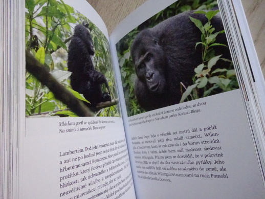 RYŠAVÝ KNIHOVNÍK A DALŠÍ ZÁPISKY ŘEDITELE ZOO, MIROSLAV BOBEK, **an