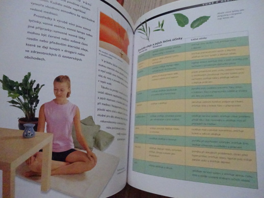 MEDITACE, VČETNĚ CD, **an