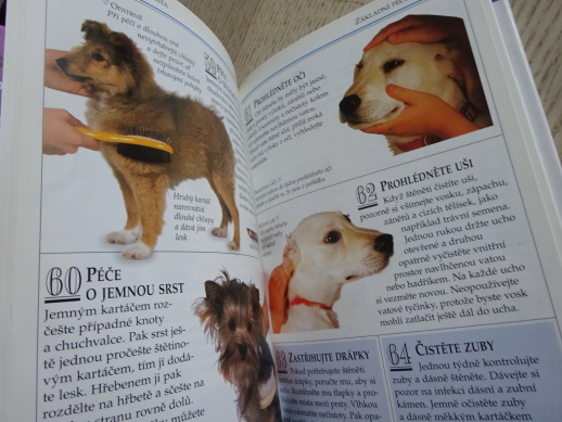 JAK PEČOVAT O ŠTĚNĚ, 101 PRAKTICKÝCH RAD, **an