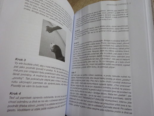 VYSTAVOVÁNÍ JE HRA, MICHAELA ČERMÁKOVÁ, FRANTIŠEK ŠUSTA, **an