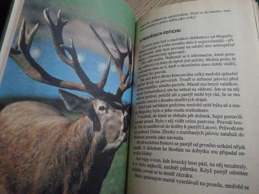 POVÍDÁNÍ S JELENEM, IGOR MRÁZ, **an