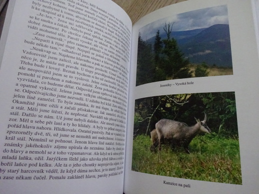 MYSLIVECKÁ VYZNÁNÍ, ANTOLOGIE SPISOVATELŮ MYSLIVECKÉ BELETRIE 90. LET 20. STOLETÍ, **an