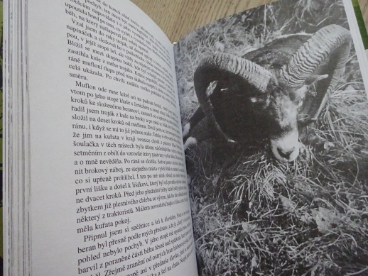 ZA TAJEMSTVÍM HVOZDŮ, JOSEF V. JIROUŠEK, **an
