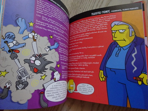 BARTOVA KNIHA, SIMPSONOVA KNIHOVNA MOUDROSTI, SIMPSONOVI, **an