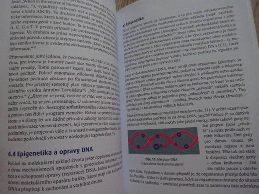 MÝTUS EVOLUCE, JOSEF POTOČEK, **an