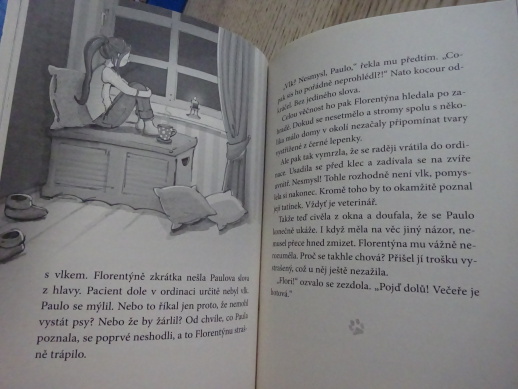 BÁJEČNÁ FLORENTÝNA, PO STOPÁCH VLKA, ANTJE SZILLATOVÁ, **an