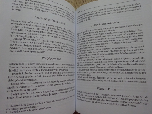 SVÁTKY V ŽIVOTĚ ŽIDŮ, MARC STERN, **an