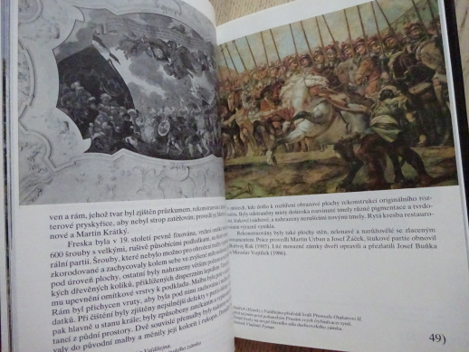 ZÁMEK DUCHCOV, VAJDŠTEJNSKÁ RODOVÁ GALERIE, VÁCLAV VAVŘINEC REINER, OBRAZY A FRESKY, **an