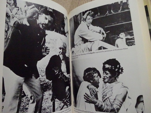 PETER O'TOOLE, BIGRAFIE, NICHOLAS WAPSHOTT, ANGLICKY, **an