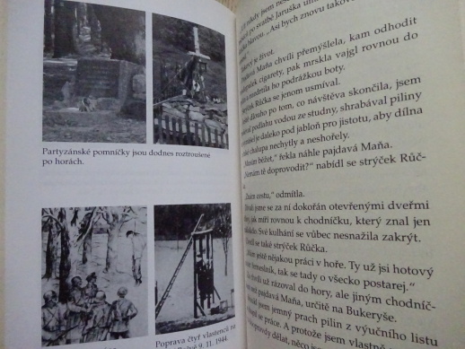 ZRADA V ANDĚLSKÉM DVOŘE, RICHARD SOBOTKA, **an