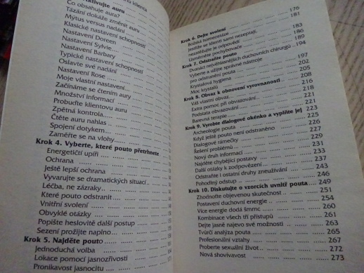 JAK SE ZBAVIT PŘIPOUTANOSTI, ROSE ROSETREE, **an