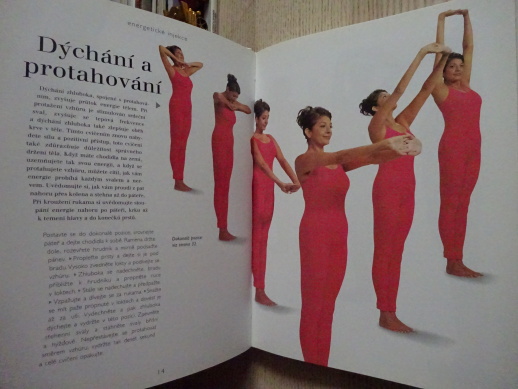 JÓGA PROTI STRESU, VIMLA LALVANI, **an