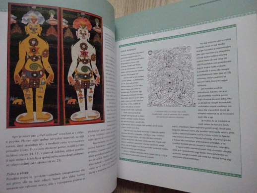 SÍLA JÓGY, TARA FRASEROVÁ, JÓGA, **an