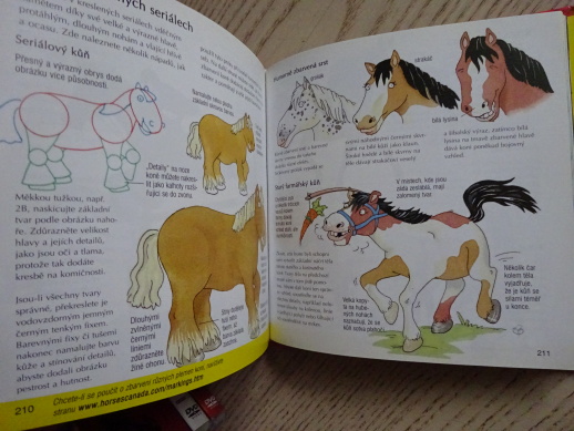 PRO MALÉ VÝTVARNÍKY, JAK KRESLIT A MALOVAT, **an