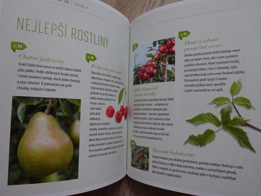 OVOCNÉ DŘEVINY A BOBULOVINY, KATHARINA ADAMSOVÁ, **an