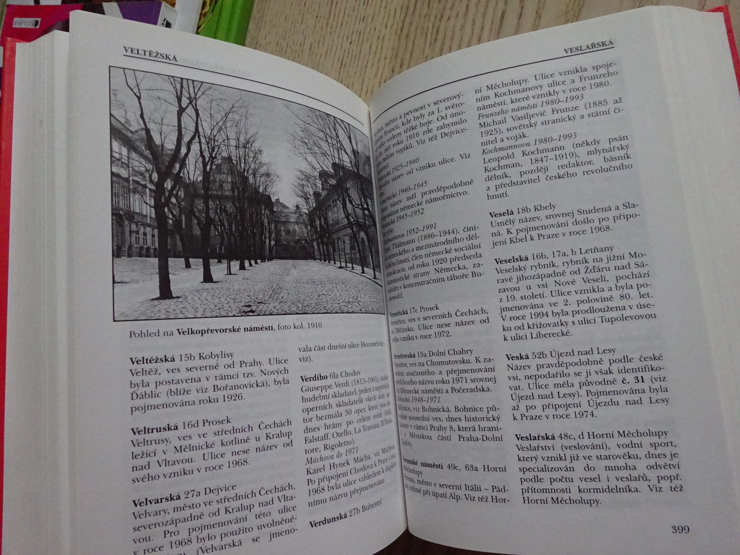 PRAŽSKÝ ULIČNÍK, LAŠŤOVKA, LEDVINKA, PRAHA, **an