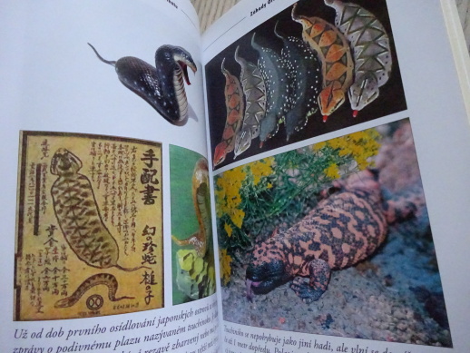 ZÁHADY ORIENTU, ARNOŠT VAŠÍČEK, **an