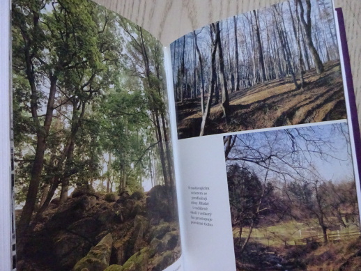 ŽIVÁ VĚČNOST, PAMĚTI MYSTIKA II, EDUARD TOMÁŠ, **an