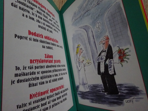 MURPHYHO ZÁKONY PRO NEVĚSTY, HANA PRIMUSOVÁ, **an