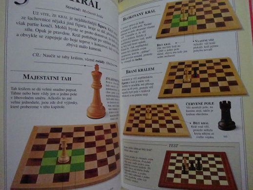 ŠACHY, ZÁKLADY HRY, STRATEGIE A TAKTIKA, KEN WHYLD, **an