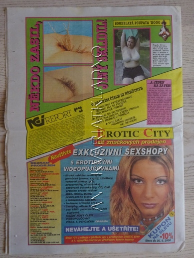 ČESKOSLOVENSKÝ NEI REPORT, 19/2000