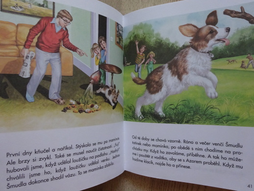 POVÍDÁNÍ O ZVÍŘÁTKÁCH, **an