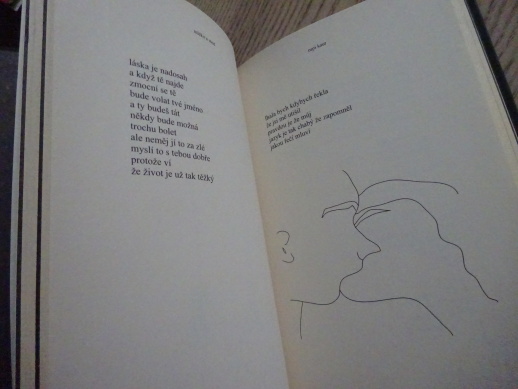 MLÉKO A MED, RUPI KAUR, **an