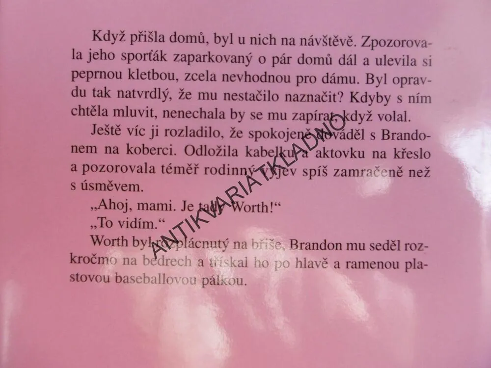 RŮŽOVÝ VÍKEND, SANDRA BROWN, **an