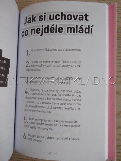 STARÁ TLUSTÁ BLBÁ ANEB STB ZASAHUJE, FINKOVÁ, CHRISTOVOVÁ, PIRICHOVÁ, **an