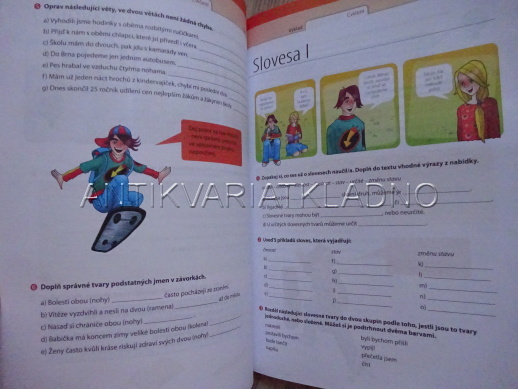 ČESKÝ JAZYK 7, CVIČEBNICE ČESTINY PRO ŽÁKY ZÁKLADNÍCH ŠKOL, **an