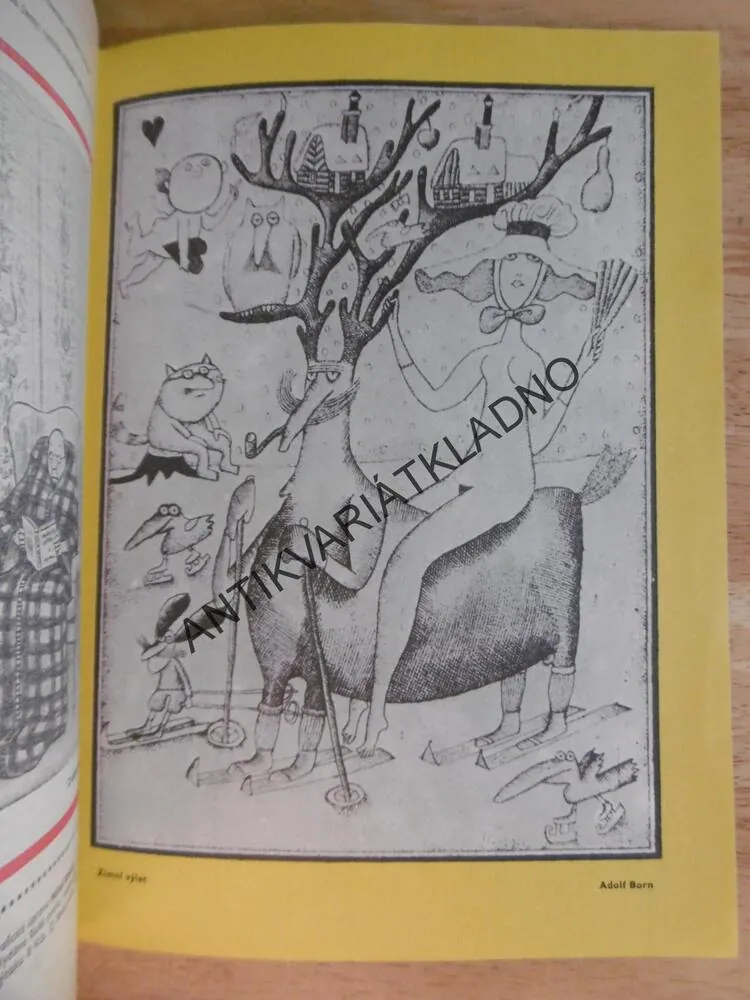 MAGAZÍN DIKOBRAZU, 1981