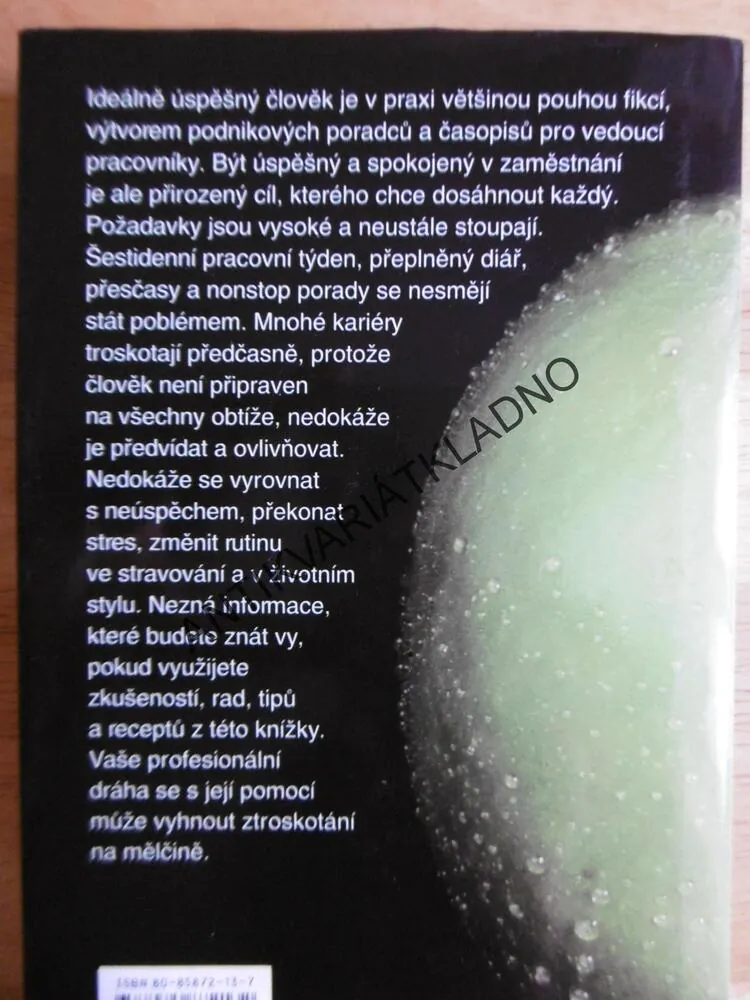 BUĎ FIT I V ZAMĚSTNÁNÍ, KONDIČNÍ PROGRAM PRO TĚLO A DUŠI, **an