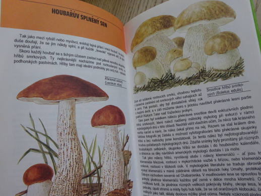 CO NEVÍME O HOUBÁCH, BAIER, VANČURA, **an
