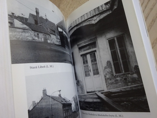 V RAJSKÉ ZAHRADĚ TRPKÝCH PLODŮ, O ŽIVOTĚ A DÍLE BOHUMILA HRABALA, BOHUMIL HRABAL, MONIKA ZGUSTOVÁ, **an