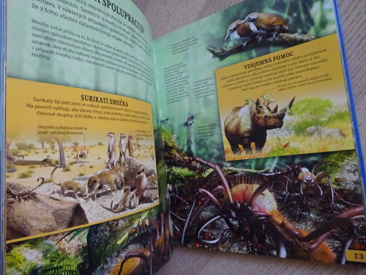 JAK TO FUNGUJE NA ZEMI, **an