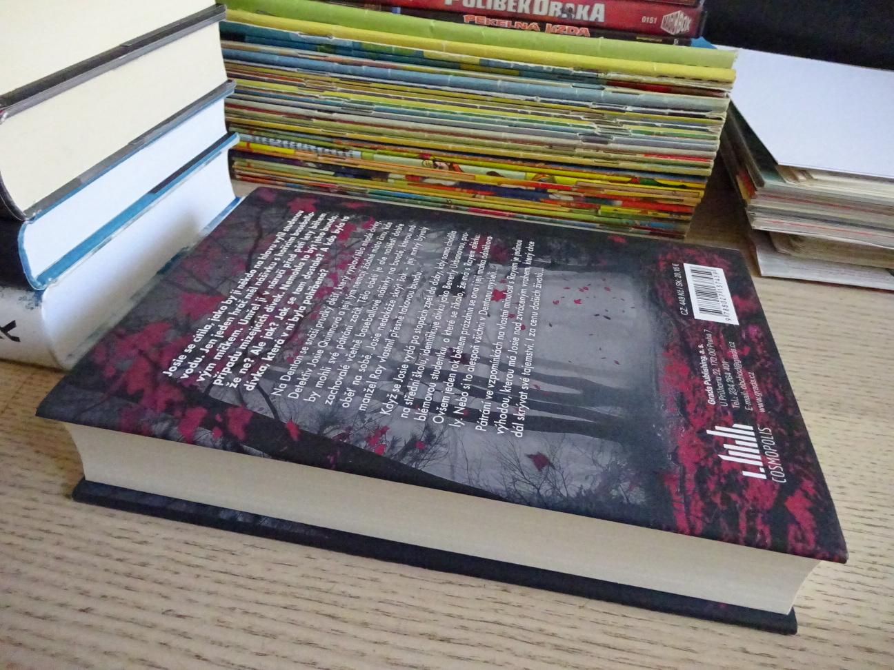 KRVAVÁ SPÁSA, LISA REGANOVÁ, **an