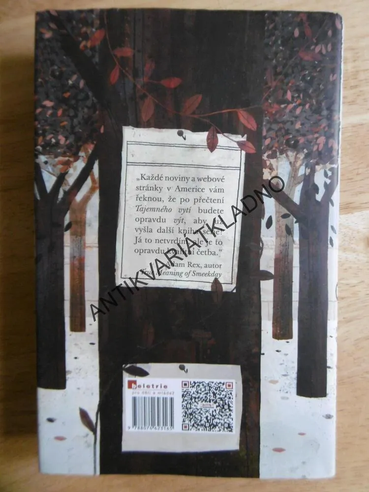 NEPOLEPŠITELNÉ DĚTI ZE SÍDLA ASHTON,TAJEMNÉ VYTÍ, WOODOVÁ, **an